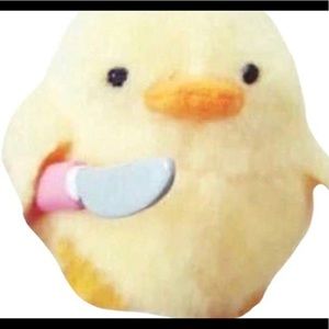 Meet your Posher, Liam